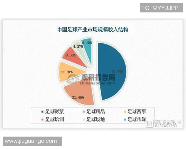 足球出线外的挑战与机遇解析以及未来发展趋势展望